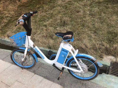 共享电动自行车遭破坏，市民呼吁文明用车共享便捷